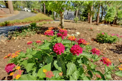 10971 Juanita Court, Grass Valley, CA 95949 - Photo 34