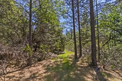22500 Canyon Way, Colfax, CA 95713 - Photo 22