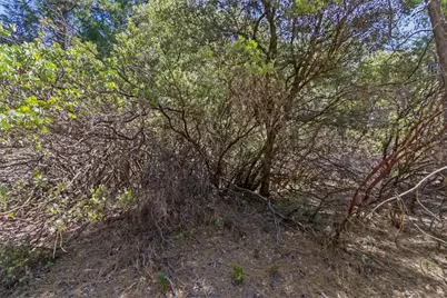 22500 Canyon Way, Colfax, CA 95713 - Photo 32