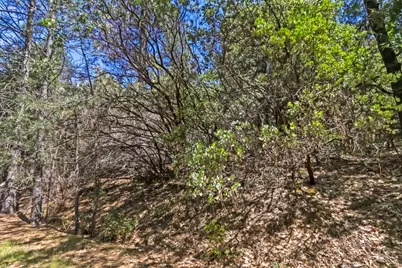 22500 Canyon Way, Colfax, CA 95713 - Photo 30