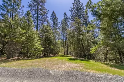 22500 Canyon Way, Colfax, CA 95713 - Photo 2