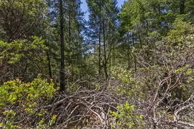 22500 Canyon Way, Colfax, CA 95713 - Photo 28