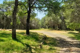 [Address not provided], Grass Valley, CA 95949 - Photo 34