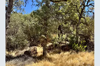 [Address not provided], Grass Valley, CA 95949 - Photo 12