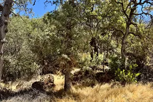 [Address not provided], Grass Valley, CA 95949 - Photo 12