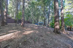 4560 Wandering Way, Camino, CA 95709 - Photo 16