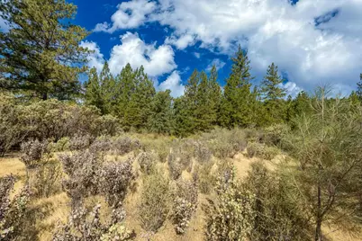 35 Amapola Court, Pollock Pines, CA 95726 - Photo 4