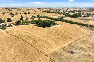 22050 E Buena Vista Rd, Clements, CA 95227 - Photo 58