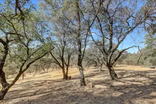 24733 Clayton Rd, Grass Valley, CA 95949 - Photo 74