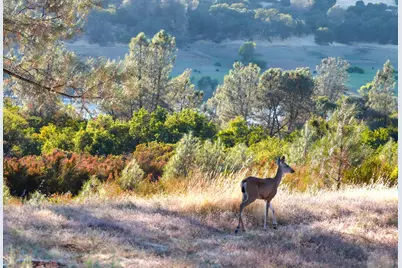7828 Watermark Place, El Dorado Hills, CA 95762 - Photo 20