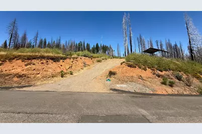 5401 Wooded Glen, Grizzly Flats, CA 95636 - Photo 1