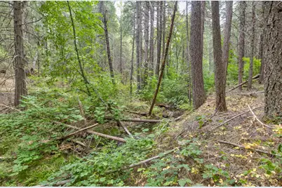 0 Mtn. Dew Lane, Somerset, CA 95684 - Photo 30