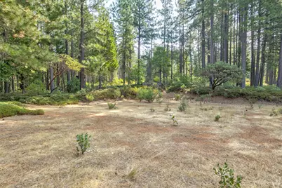 0 Mtn. Dew Lane, Somerset, CA 95684 - Photo 12