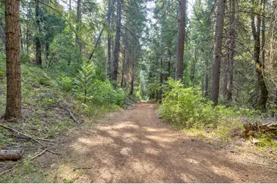 0 Mtn. Dew Lane, Somerset, CA 95684 - Photo 18