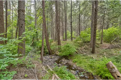 0 Mtn. Dew Lane, Somerset, CA 95684 - Photo 32