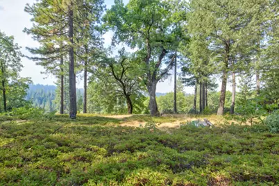 0 Mtn. Dew Lane, Somerset, CA 95684 - Photo 10