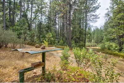 0 Mtn. Dew Lane, Somerset, CA 95684 - Photo 36