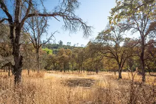 12550 Bayshore St, Marysville, CA 95901 - Photo 22