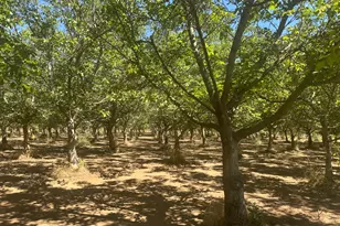 456 Justeson Ave, Gridley, CA 95948 - Photo 1