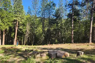 5508 5 Spot Rd, Pollock Pines, CA 95726 - Photo 1