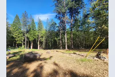 5508 Five Spot Road, Pollock Pines, CA 95726 - Photo 4