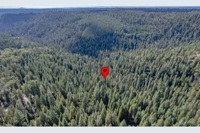 10662 Lowell Hill Road, Nevada City, CA 95959 - Photo 12
