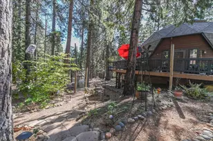 20175 Pine Dr, Pioneer, CA 95666 - Photo 46