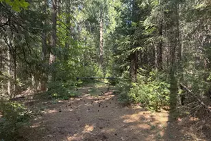 11725 Phelps Hill Rd, Nevada City, CA 95959 - Photo 1