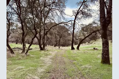 4981 Mourning Dove Lane, Shingle Springs, CA 95682 - Photo 6