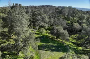 4981 Mourning Dove Ln, Shingle Springs, CA 95682 - Photo 1
