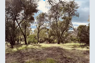 4980 Mourning Dove Lane, Shingle Springs, CA 95682 - Photo 6