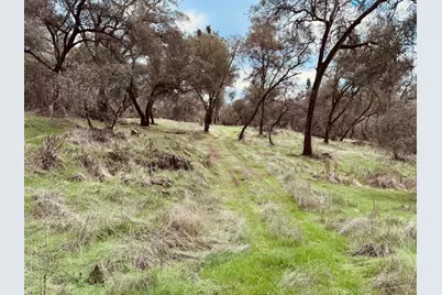 4980 Mourning Dove Lane, Shingle Springs, CA 95682 - Photo 4