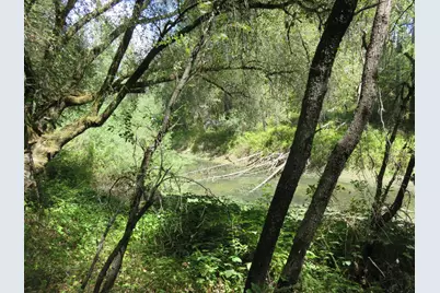 2563 Woodhouse Mine Road, West Point, CA 95255 - Photo 22