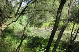 2563 Woodhouse Mine Rd, West Point, CA 95255 - Photo 22