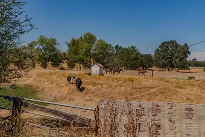 6500 Jenny Lind Road, Valley Springs, CA 95252 - Photo 66