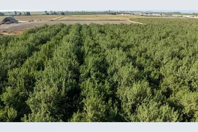 4319 S Walnut Road, Turlock, CA 95380 - Photo 6