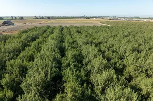 4319 S Walnut Rd, Turlock, CA 95380 - Photo 6