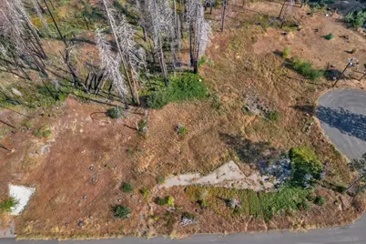 7425 Winding Way, Grizzly Flats, CA 95636 - Photo 4