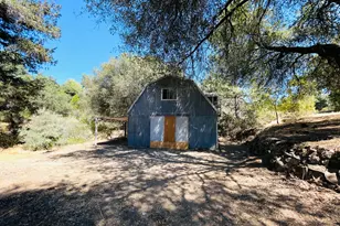 3458 Coon Hollow Rd, Placerville, CA 95667 - Photo 10