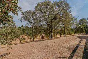 31 Willet Ct, Wallace, CA 95254 - Photo 56