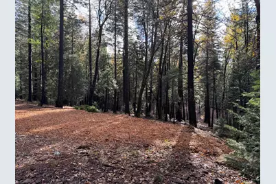 13646 Quaker Hill Cross Road, Nevada City, CA 95959 - Photo 14