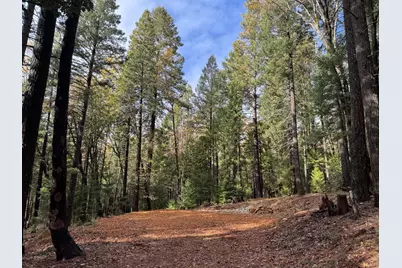 13646 Quaker Hill Cross Road, Nevada City, CA 95959 - Photo 1