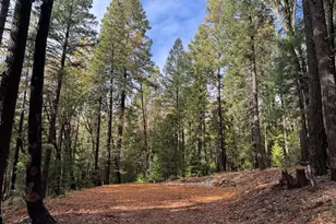 13646 Quaker Hill Cross Rd, Nevada City, CA 95959 - Photo 1