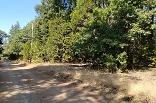 13762 Lightning Tree Rd, Nevada City, CA 95959 - Photo 1