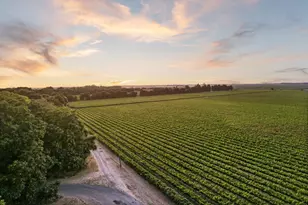 53140 S River Rd, Clarksburg, CA 95612 - Photo 6