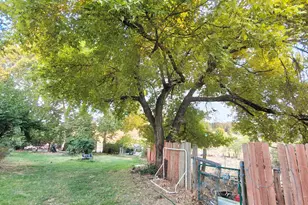 5661 Thompson Hill Rd, Placerville, CA 95667 - Photo 56