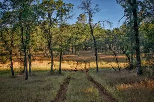 0 Bell Rd, Auburn, CA 95603 - Photo 1