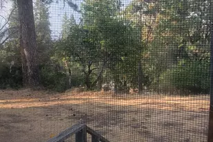 13021 Ridge View Dr, Sutter Creek, CA 95685 - Photo 30