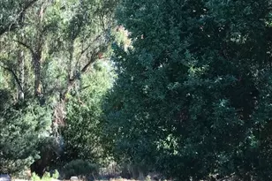 0 Lauriston Ct, Oakland, CA 94611 - Photo 1