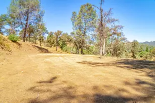 10255 Boneyard Creek Rd, Coulterville, CA 95311 - Photo 54